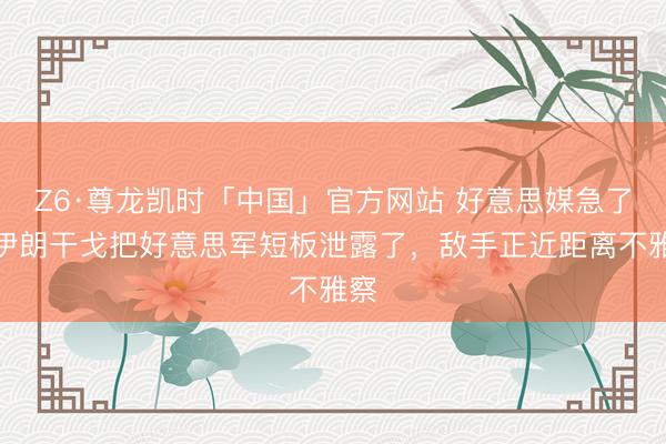 Z6·尊龙凯时「中国」官方网站 好意思媒急了：伊朗干戈把好意思军短板泄露了，敌手正近距离不雅察