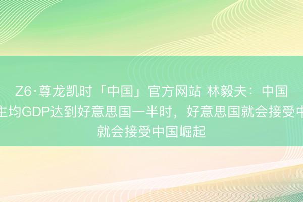 Z6·尊龙凯时「中国」官方网站 林毅夫：中国东说念主均GDP达到好意思国一半时，好意思国就会接受中国崛起