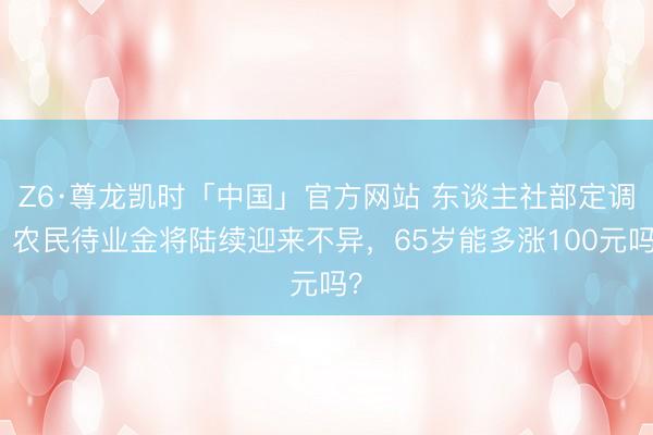 Z6·尊龙凯时「中国」官方网站 东谈主社部定调，农民待业金将陆续迎来不异，65岁能多涨100元吗？