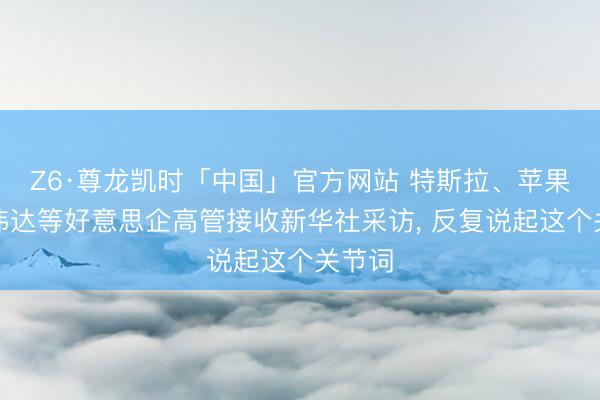 Z6·尊龙凯时「中国」官方网站 特斯拉、苹果、英伟达等好意思企高管接收新华社采访， 反复说起这个关节词