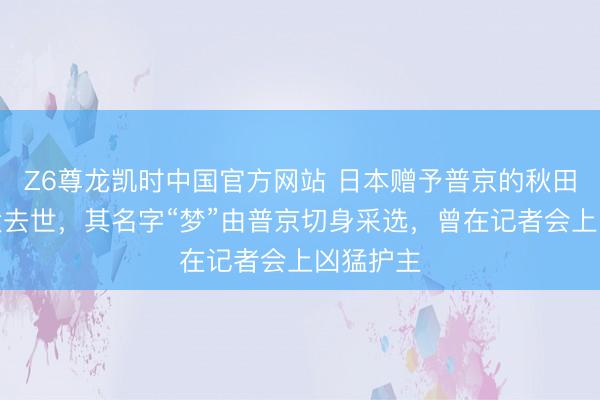 Z6尊龙凯时中国官方网站 日本赠予普京的秋田犬因老大去世，其名字“梦”由普京切身采选，曾在记者会上凶猛护主