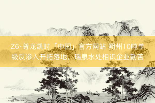 Z6·尊龙凯时「中国」官方网站 朔州10吨单级反渗入开拓落地，瑞泉水处相识企业勤苦