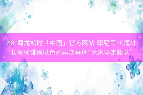 Z6·尊龙凯时「中国」官方网站 印尼等10海外长蛮横诽谤以色列再次垂危“大家坚定船队”