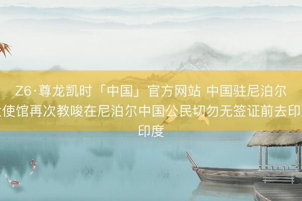 Z6·尊龙凯时「中国」官方网站 中国驻尼泊尔大使馆再次教唆在尼泊尔中国公民切勿无签证前去印度