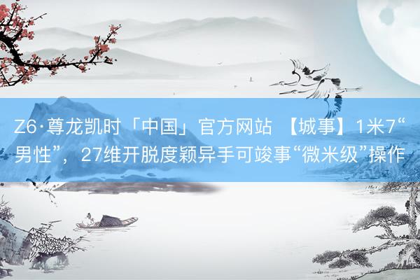 Z6·尊龙凯时「中国」官方网站 【城事】1米7“男性”，27维开脱度颖异手可竣事“微米级”操作