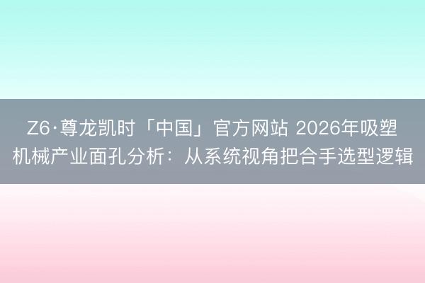 Z6·尊龙凯时「中国」官方网站 2026年吸塑机械产业面孔分析：从系统视角把合手选型逻辑