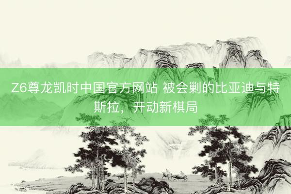 Z6尊龙凯时中国官方网站 被会剿的比亚迪与特斯拉，开动新棋局