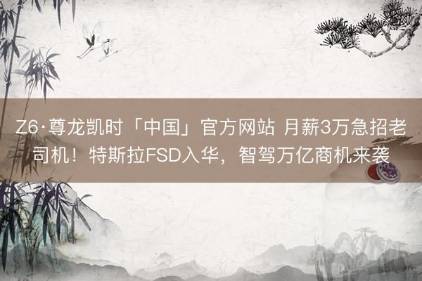 Z6·尊龙凯时「中国」官方网站 月薪3万急招老司机！特斯拉FSD入华，智驾万亿商机来袭