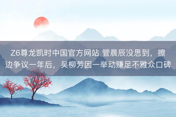 Z6尊龙凯时中国官方网站 管晨辰没思到，擦边争议一年后，吴柳芳因一举动赚足不雅众口碑