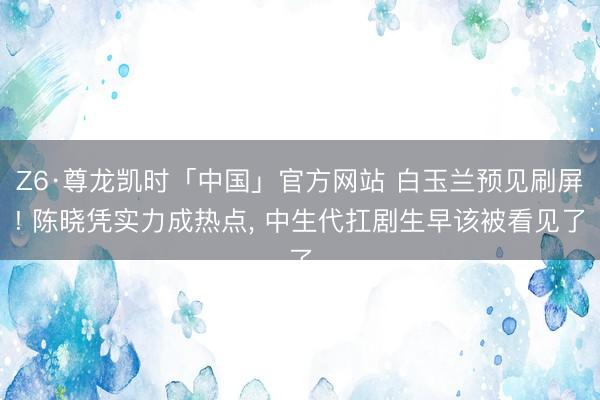 Z6·尊龙凯时「中国」官方网站 白玉兰预见刷屏! 陈晓凭实力成热点， 中生代扛剧生早该被看见了