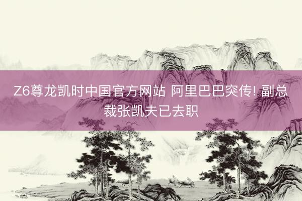 Z6尊龙凯时中国官方网站 阿里巴巴突传! 副总裁张凯夫已去职
