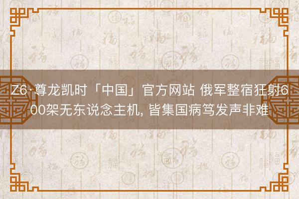 Z6·尊龙凯时「中国」官方网站 俄军整宿狂射600架无东说念主机， 皆集国病笃发声非难