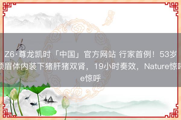 Z6·尊龙凯时「中国」官方网站 行家首例！53岁须眉体内装下猪肝猪双肾，19小时奏效，Nature惊呼