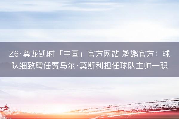 Z6·尊龙凯时「中国」官方网站 鹈鹕官方：球队细致聘任贾马尔·莫斯利担任球队主帅一职