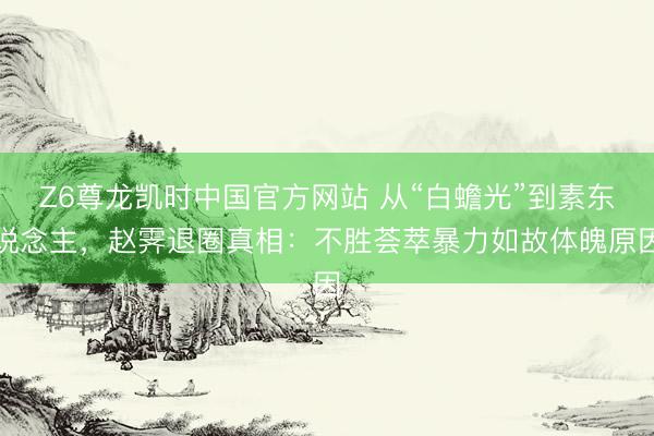 Z6尊龙凯时中国官方网站 从“白蟾光”到素东说念主，赵霁退圈真相：不胜荟萃暴力如故体魄原因