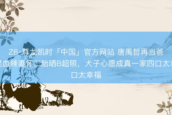 Z6·尊龙凯时「中国」官方网站 唐禹哲再当爸！混血辣妻怀二胎晒B超照，犬子心愿成真一家四口太幸福