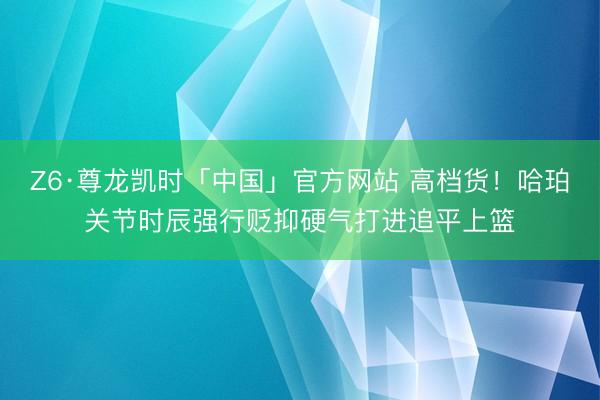 Z6·尊龙凯时「中国」官方网站 高档货！哈珀关节时辰强行贬抑硬气打进追平上篮