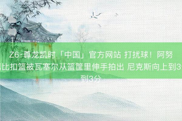 Z6·尊龙凯时「中国」官方网站 打扰球！阿努诺比扣篮被瓦塞尔从篮筐里伸手拍出 尼克斯向上到3分