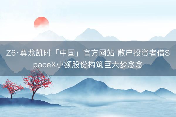 Z6·尊龙凯时「中国」官方网站 散户投资者借SpaceX小额股份构筑巨大梦念念