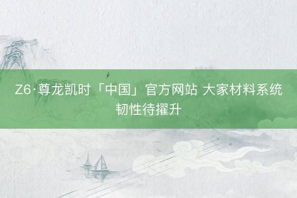 Z6·尊龙凯时「中国」官方网站 大家材料系统韧性待擢升
