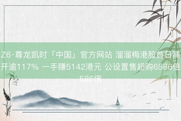 Z6·尊龙凯时「中国」官方网站 溜溜梅港股首日高开逾117% 一手赚5142港元 公设置售超购6586倍