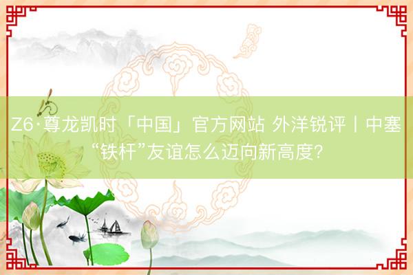 Z6·尊龙凯时「中国」官方网站 外洋锐评丨中塞“铁杆”友谊怎么迈向新高度？