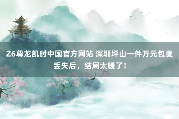 Z6尊龙凯时中国官方网站 深圳坪山一件万元包裹丢失后，结局太暖了！
