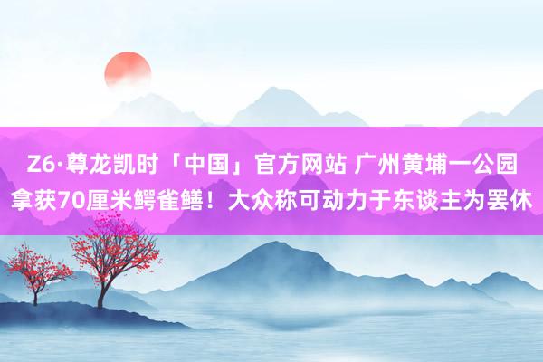 Z6·尊龙凯时「中国」官方网站 广州黄埔一公园拿获70厘米鳄雀鳝！大众称可动力于东谈主为罢休