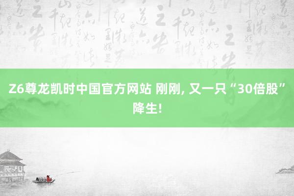 Z6尊龙凯时中国官方网站 刚刚， 又一只“30倍股”降生!