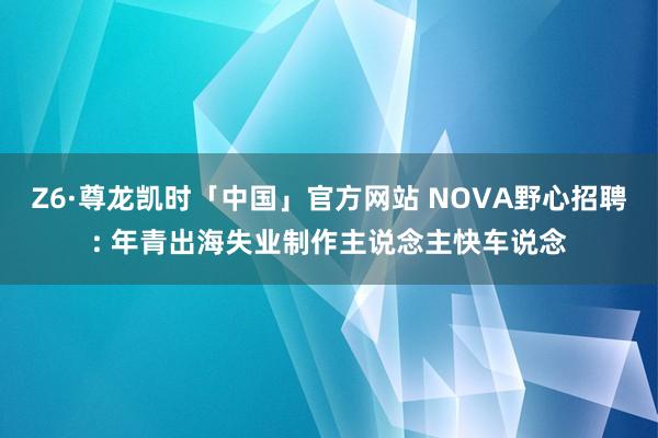 Z6·尊龙凯时「中国」官方网站 NOVA野心招聘: 年青出海失业制作主说念主快车说念