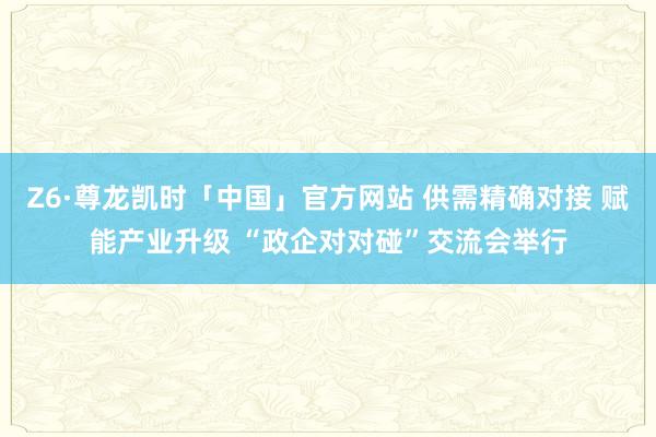 Z6·尊龙凯时「中国」官方网站 供需精确对接 赋能产业升级 “政企对对碰”交流会举行