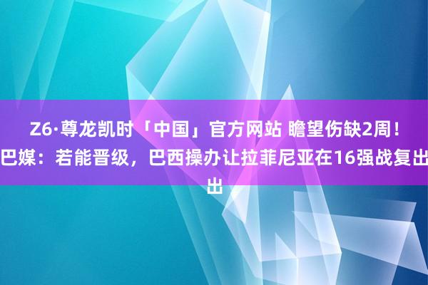 Z6·尊龙凯时「中国」官方网站 瞻望伤缺2周！巴媒：若能晋级，巴西操办让拉菲尼亚在16强战复出