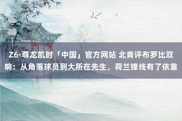 Z6·尊龙凯时「中国」官方网站 北青评布罗比双响:从角落球员到大所在先生,荷兰锋线有了依靠